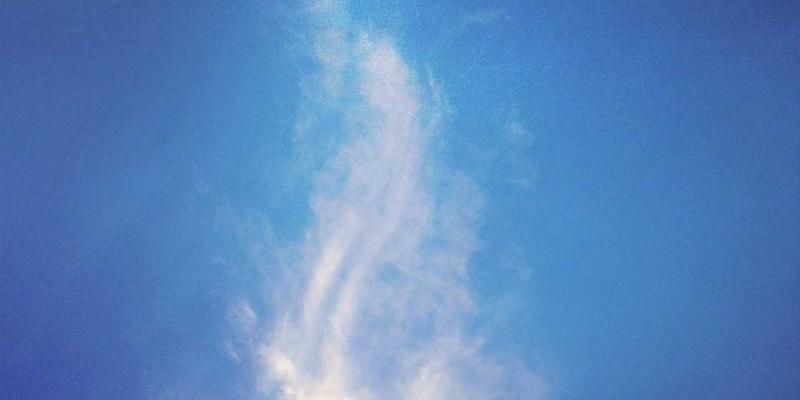 DXBB22217深度评测：革新体验还是昙花一现？全面解析这款现象级游戏