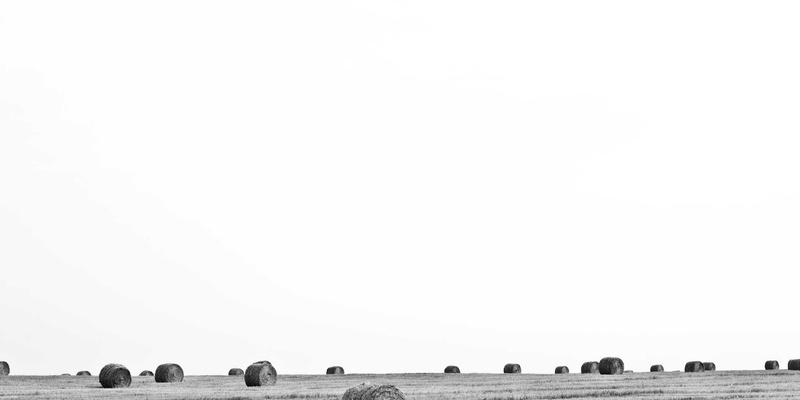 DXBB22248：揭秘新一代综合娱乐平台如何重塑娱乐新闻生态