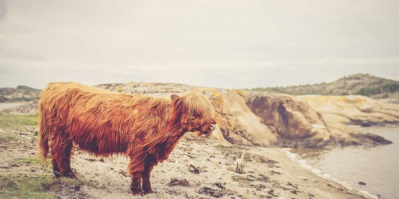 DXBB22256：游戏资讯与评测如何定义新一代综合娱乐平台