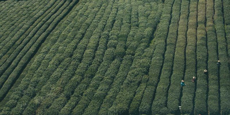 DXBB22266：探索综合娱乐平台的游戏资讯新生态