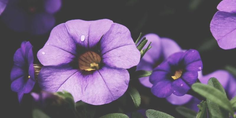 DXBB2228深度解析：热门游戏资讯、实战攻略与硬核评测