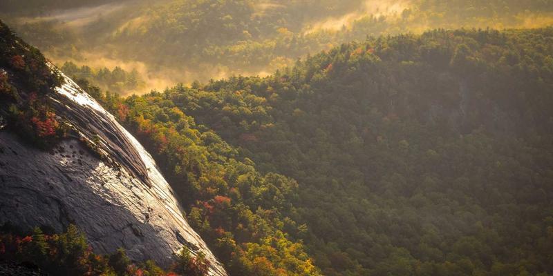 DXBB222如何重塑电竞酒店体验？深度评测与娱乐平台部署案例解析