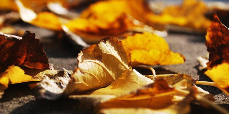 DXBB222如何革新虚拟制作？游戏攻略与娱乐新闻中的LED墙实时渲染解析