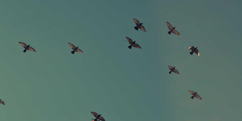 DXBB222对比Intel NUC：小型化高性能主机的终极选购指南与游戏攻略