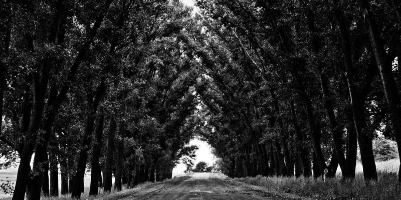 DXBB222软件驱动全攻略：下载、更新与兼容性问题一站式解决 | 游戏评测与娱乐平台指南